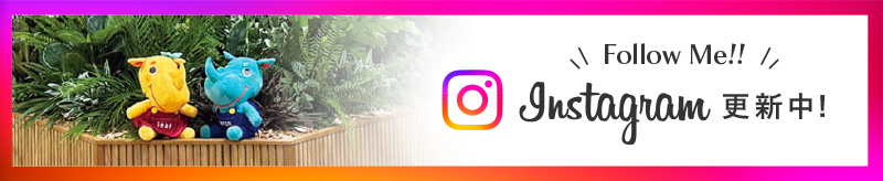 インスタグラムはこちら